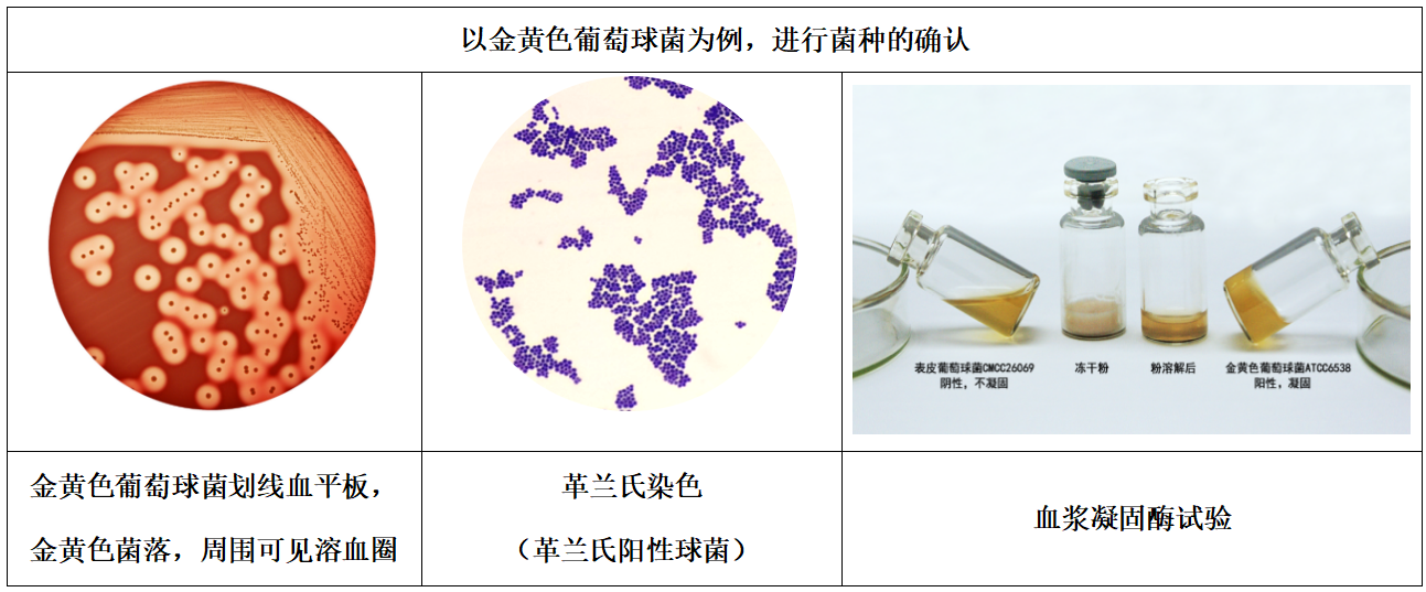 1101無(wú)菌檢查法——培養(yǎng)基適用性檢查操作要點(diǎn)(中國(guó)藥典2020年版四部) 1101無(wú)菌檢查法——培養(yǎng)基適用性檢查操作要點(diǎn)(中國(guó)藥典2020年版四部)