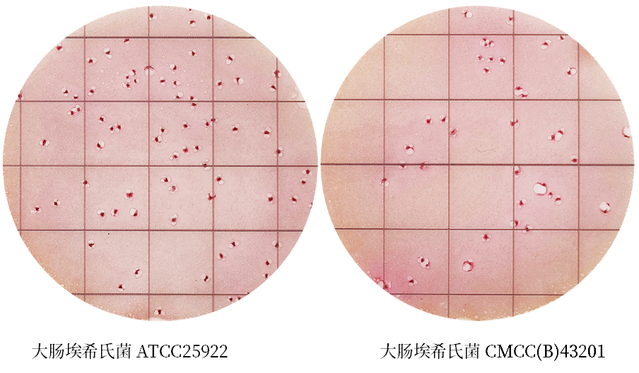 陸橋推出新大腸菌群測(cè)試片:符合GB4789.3-2025 陸橋推出新大腸菌群測(cè)試片:符合GB4789.3-2025