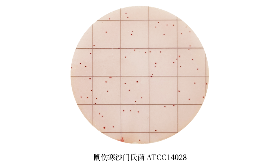 陸橋推出新大腸菌群測(cè)試片:符合GB4789.3-2025 陸橋推出新大腸菌群測(cè)試片:符合GB4789.3-2025